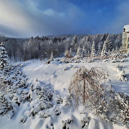 Apartamenty Biala Sowa Czarna Gora Sienna  Exteriér fotografie