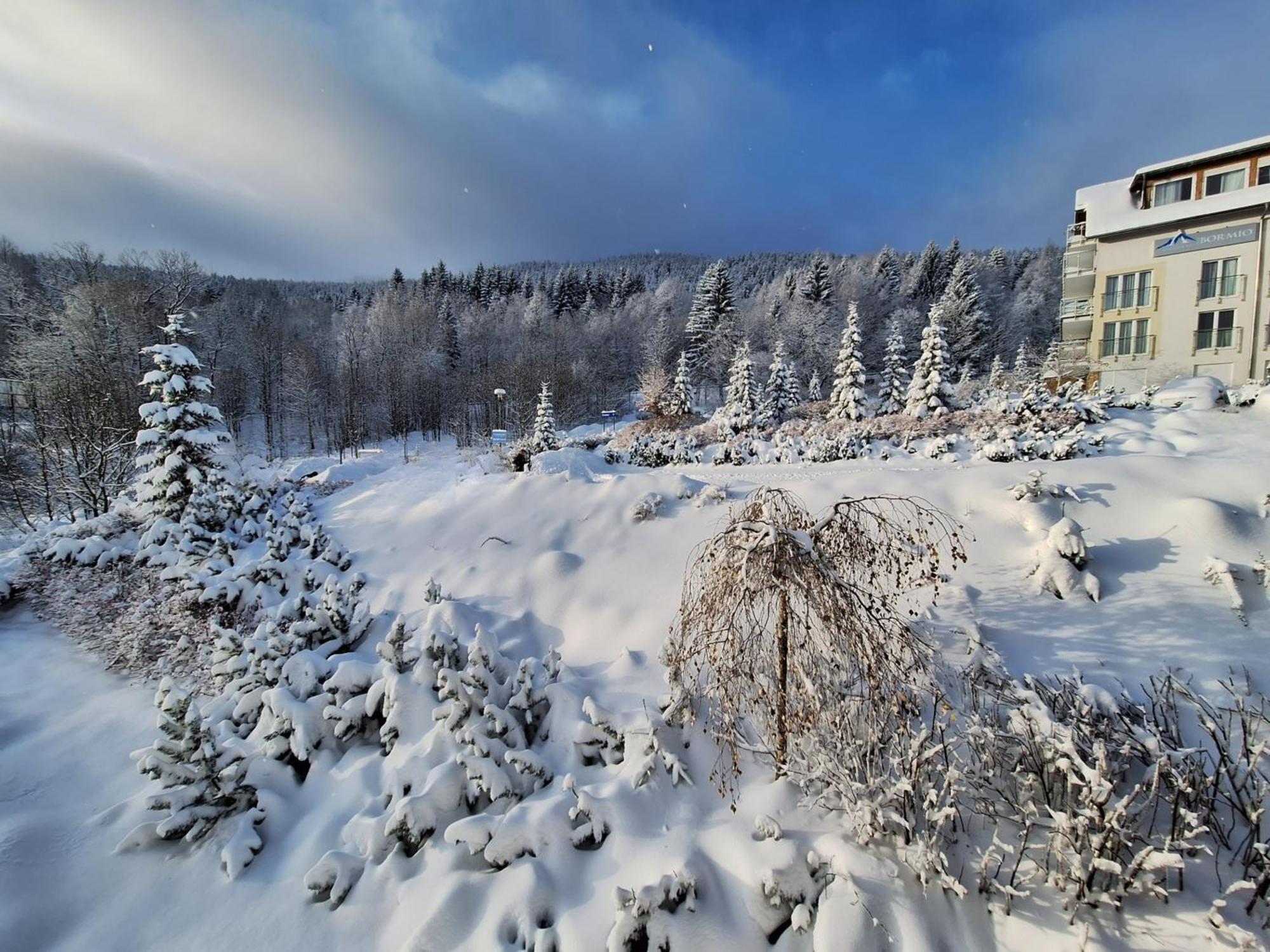 Apartamenty Biala Sowa Czarna Gora Sienna  Exteriér fotografie